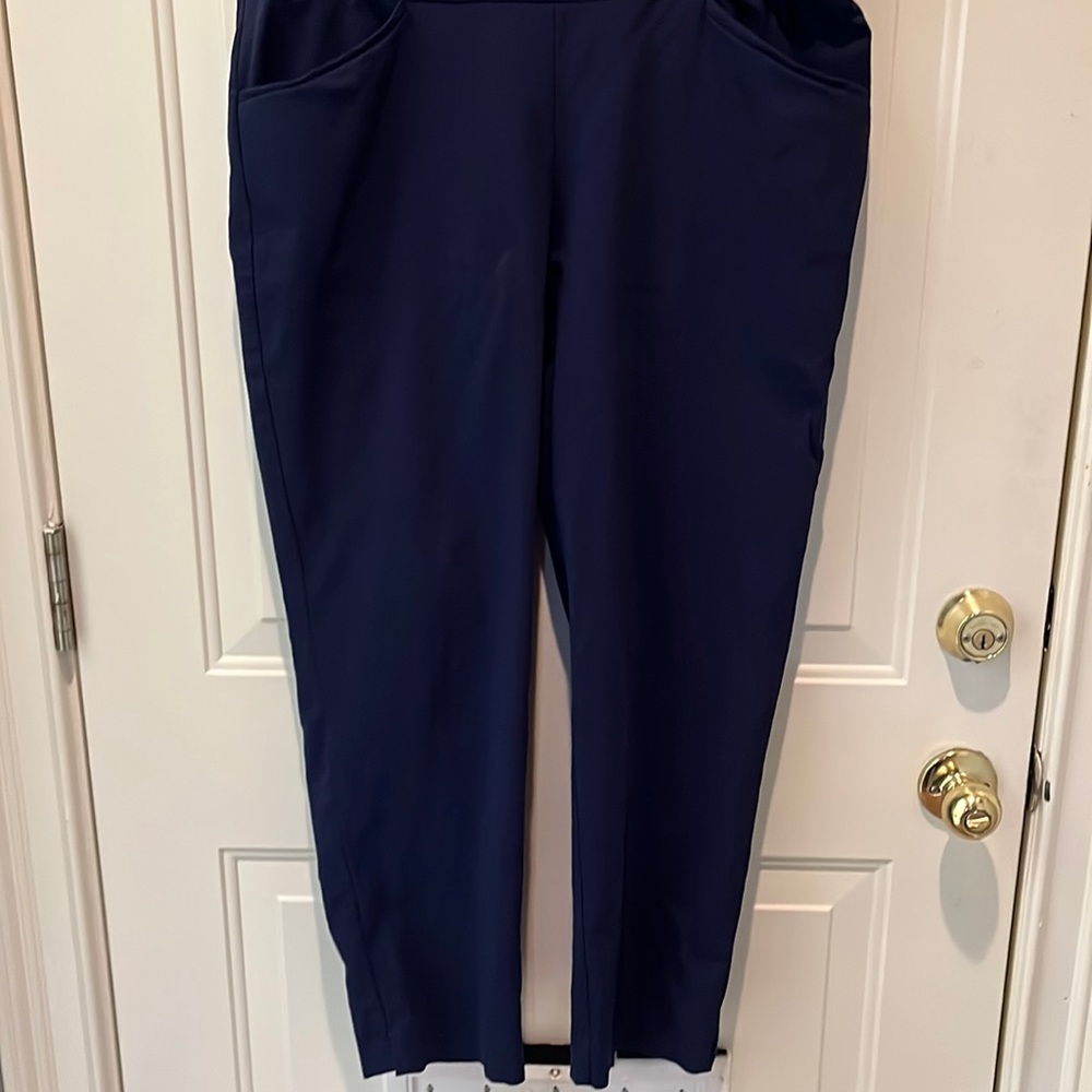 Chicos straight leg ankle pants, hand wash, lost weight, too big, Navy blue